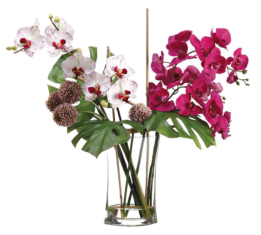 Faux Allium/Phalaenopsis Orchid Arrangement In Glass Vase - Image 0