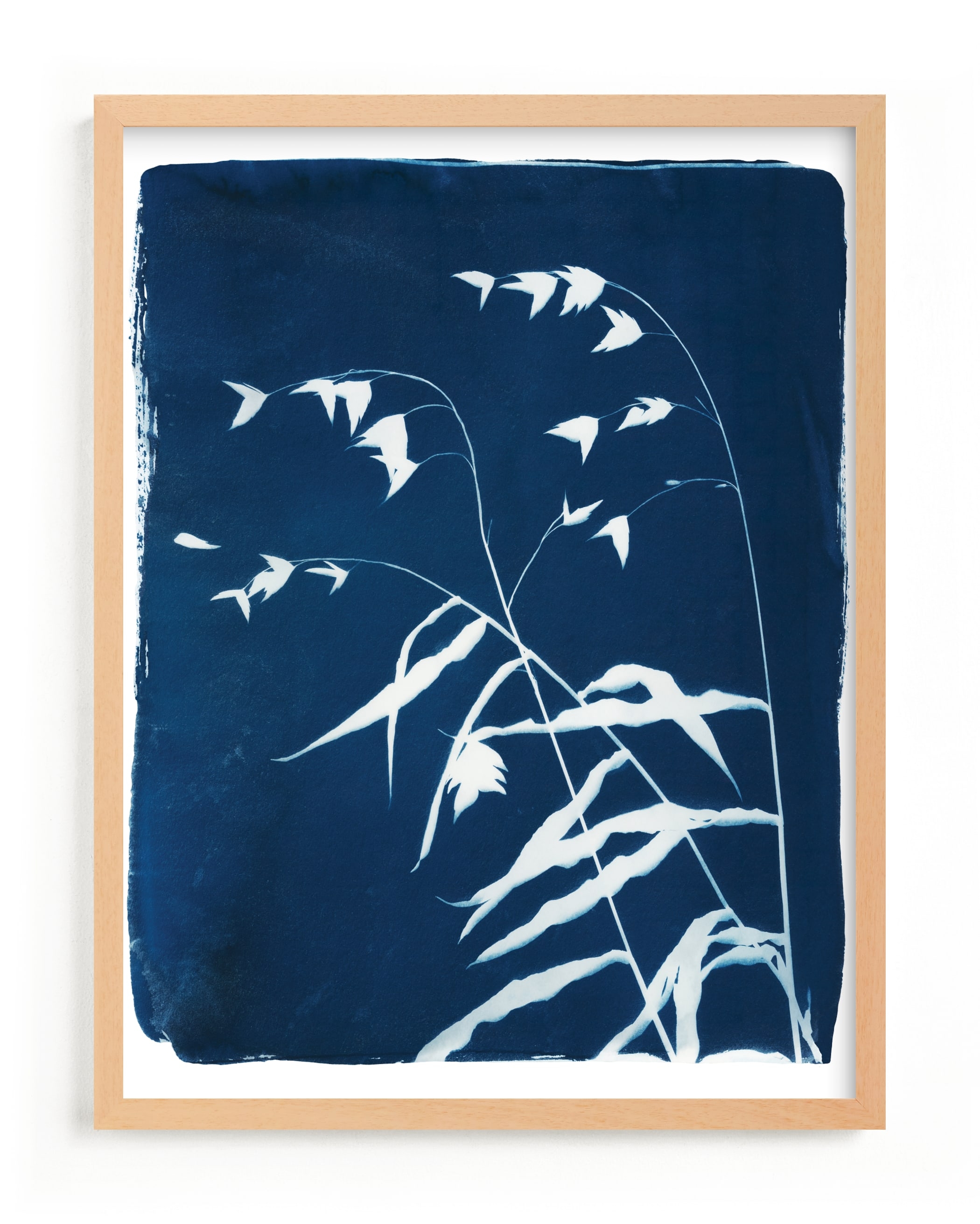 Sea Oats Cyanotype Limited Edition Fine Art Print 2 - Image 0