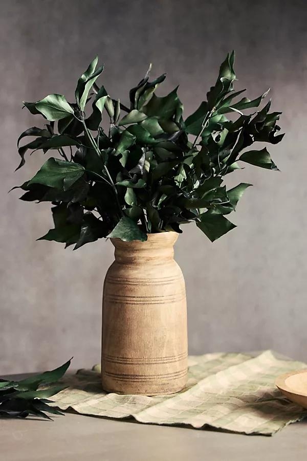 Preserved Hedera Bunch - Image 0
