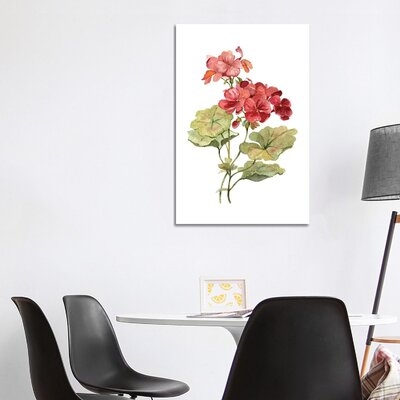 Scarlet Geranium by Carol Robinson - Wrapped Canvas Painting Print - Image 0