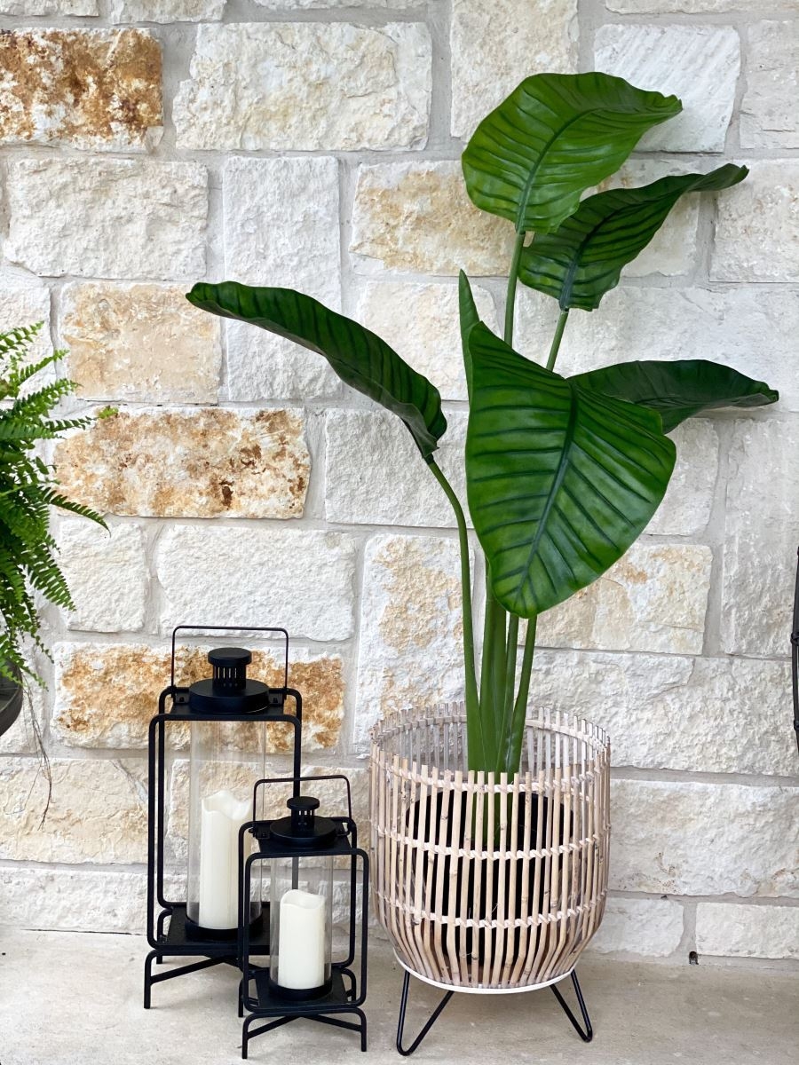 64” Travelers Palm Tree UV Resistant (Indoor/Outdoor) - Image 3