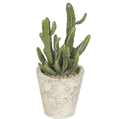 12.5" Potted Mini Cactus Plant In Weathered Pot - Image 0