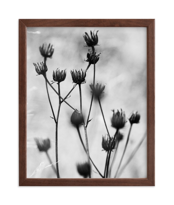 Autumn Detail Limited Edition Fine Art Print 1 - Image 0