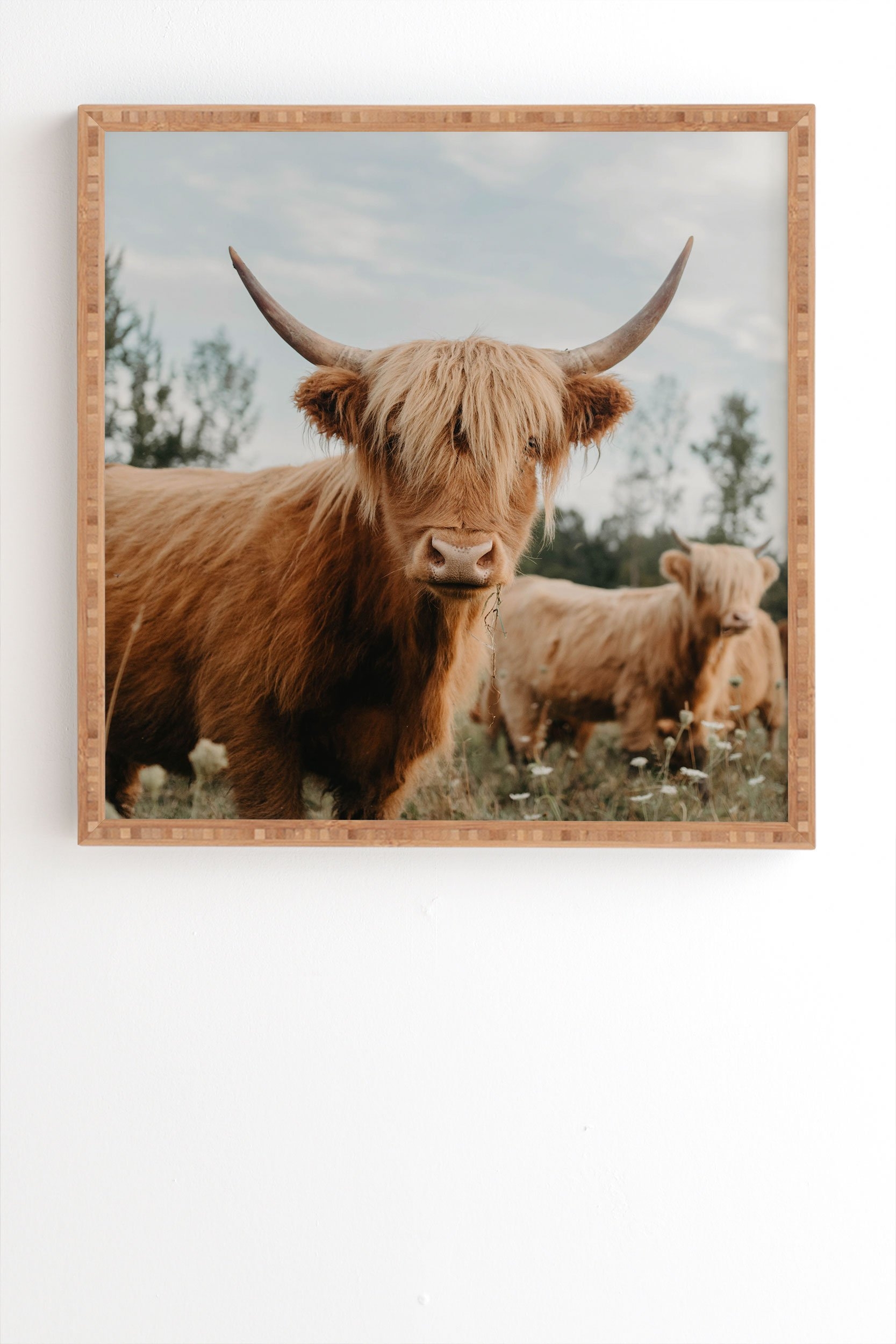 Chelsea Victoria The Furry Highland Cow Framed Wall Art - 19" x 22.4" - Image 1