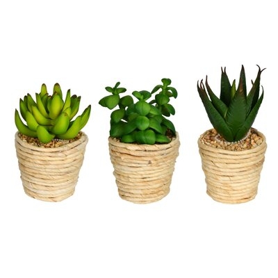 3 Artificial Succulent in Pot Set - Image 0