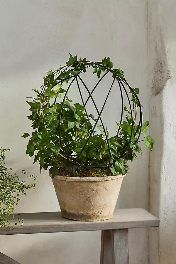 Globe Iron Trellis Frame - Image 0