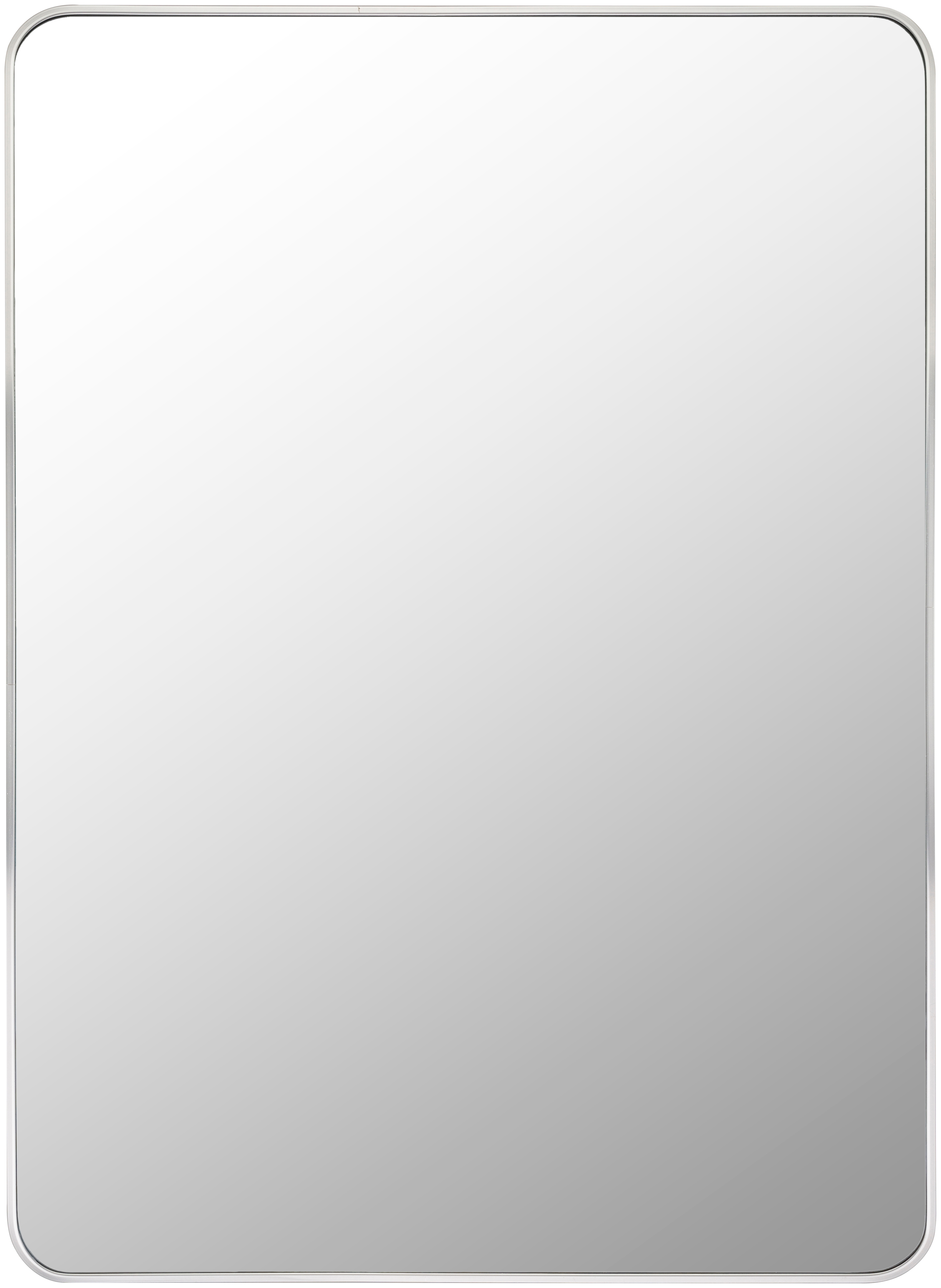 Aranya Metallic - Silver 30"H x 20"W x 1"D Accent Mirror - Image 0