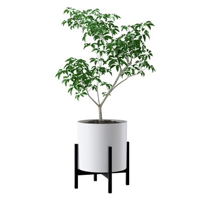 Square Modern Plant Stand - Image 2