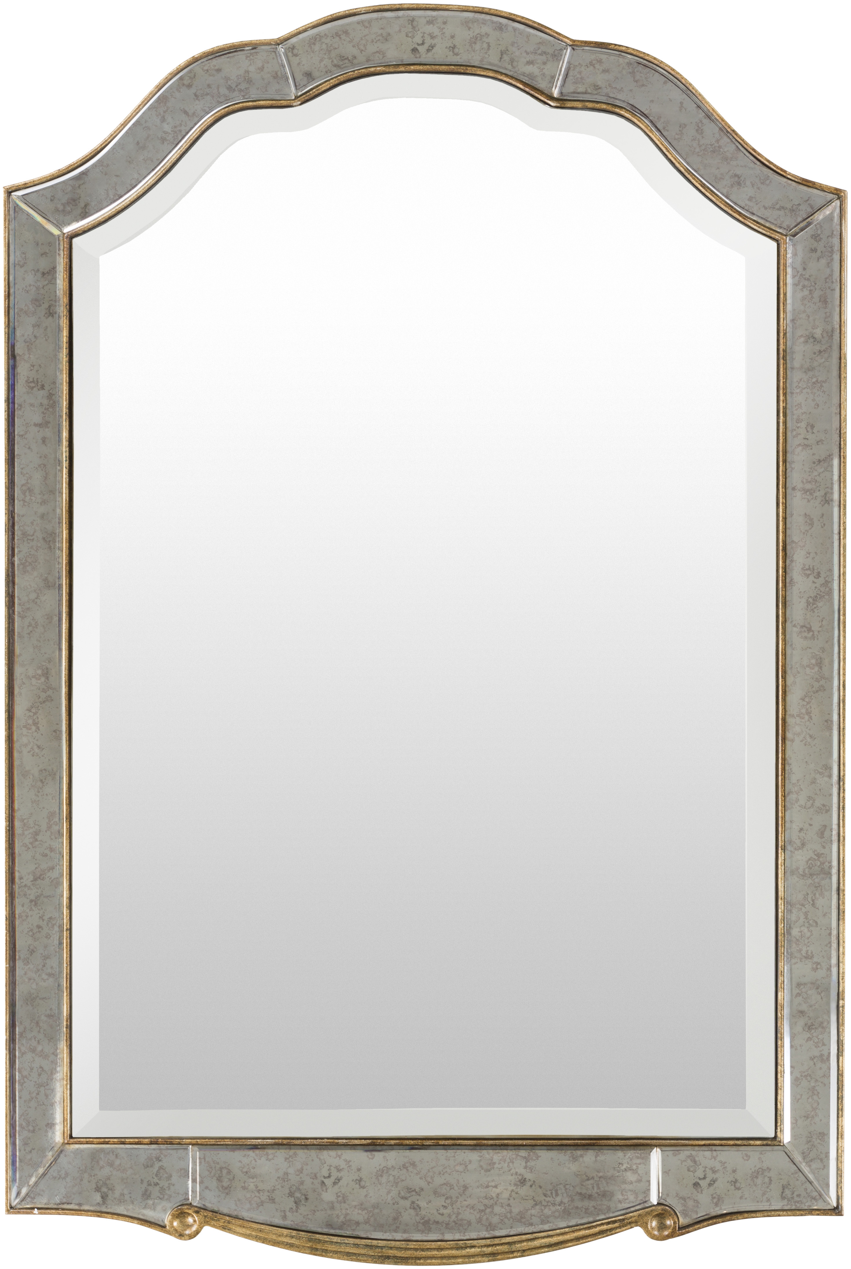Oleander Metallic - Silver,Gold 48"H x 32"W x 1"D Accent Mirror - Image 0