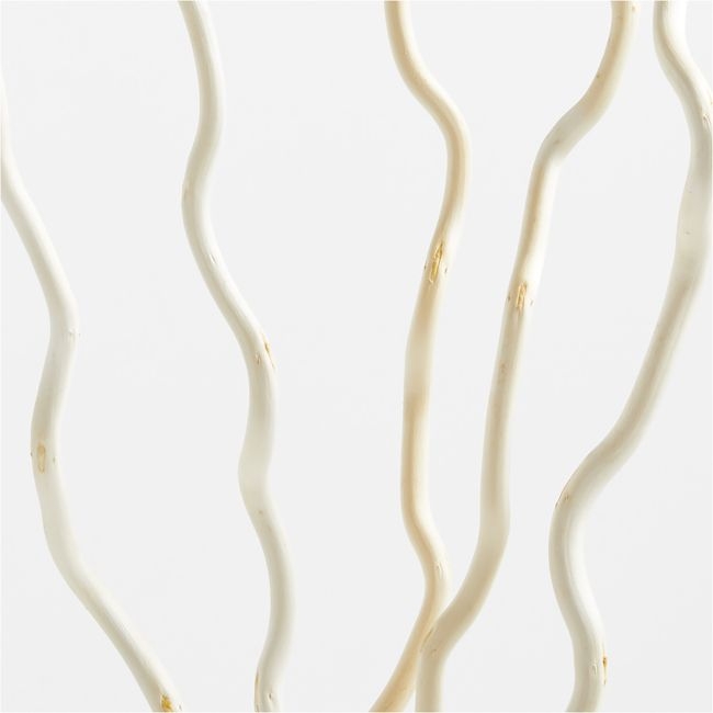 Dried Curly Willow Branches, Set of 5 - Image 1