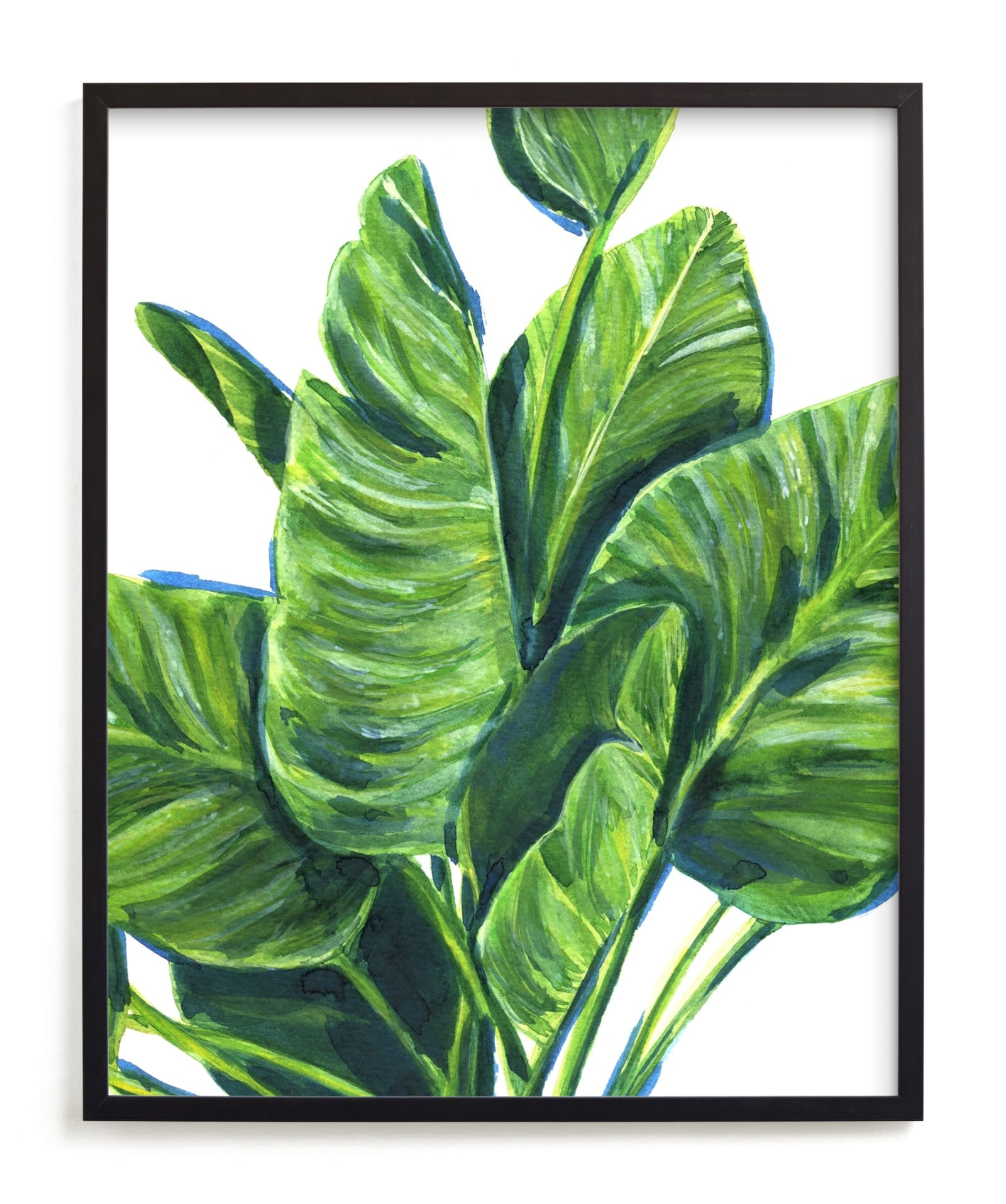 Tropical Plants II Limited Edition Fine Art Print 2 - Image 0