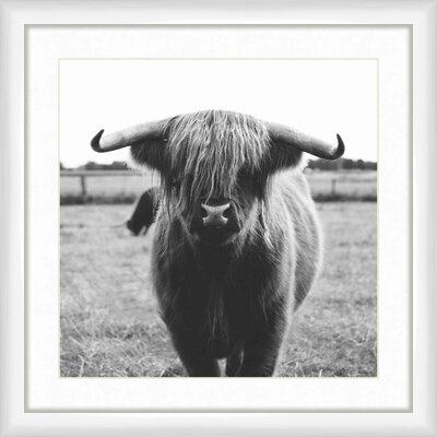 'Buffalotastic' - Picture Frame Photograph Print - Image 0