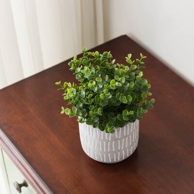 Artificial Boxwood Plant in Pot, 5" - Image 1