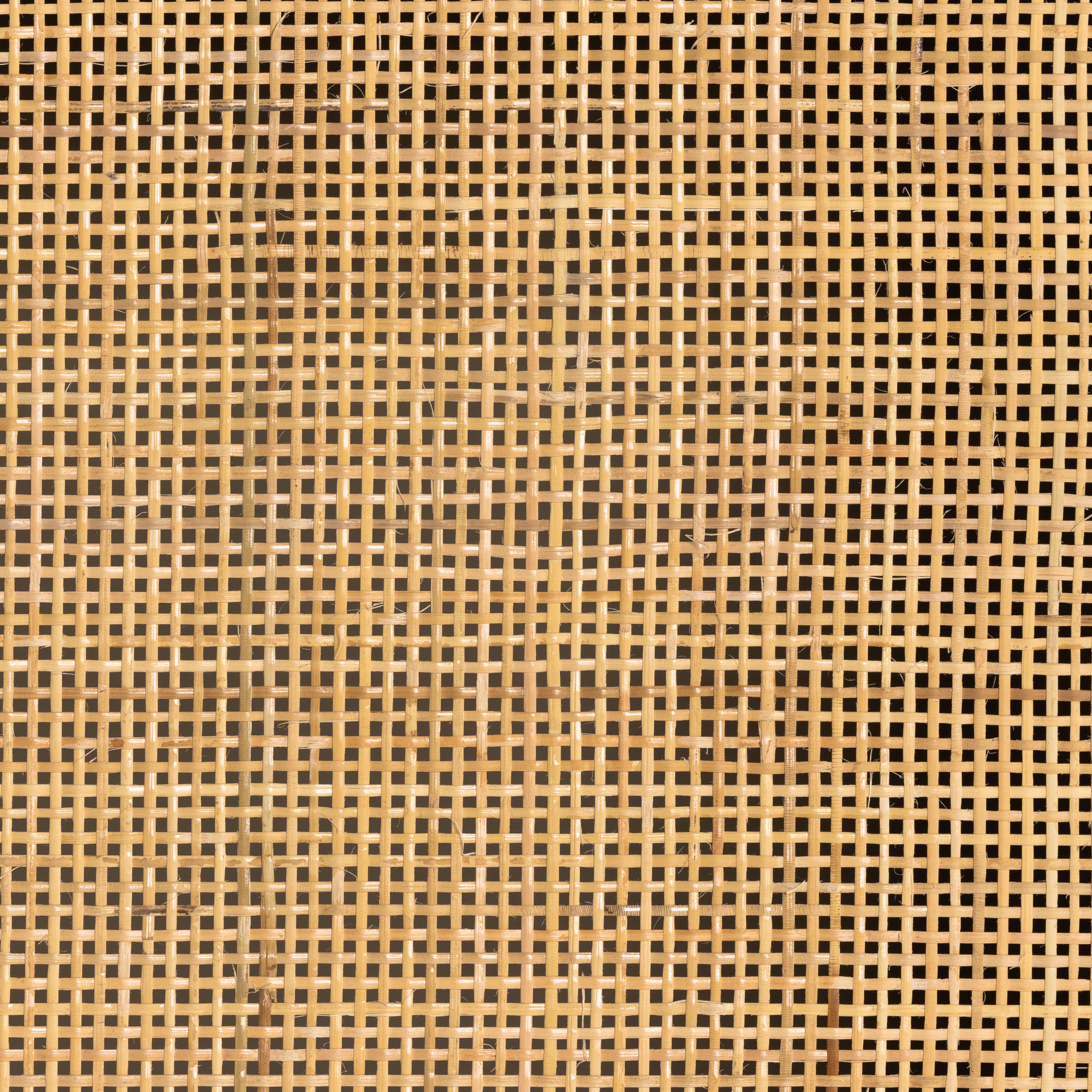 Caprice Tall Cabinet-Natural Mango - Image 7