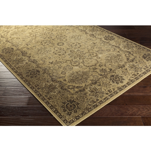 Hathaway Brown Indoor 8'10" x 12'10" Machine Woven Rug - Image 1