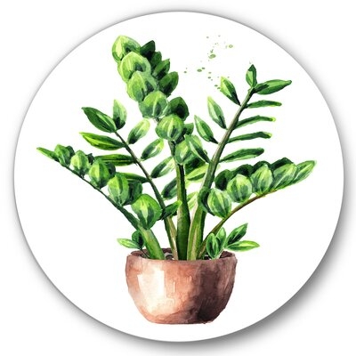 Zamioculcas Tropical Plant With Green Leaves - Traditional Metal Circle Wall Art - Image 0