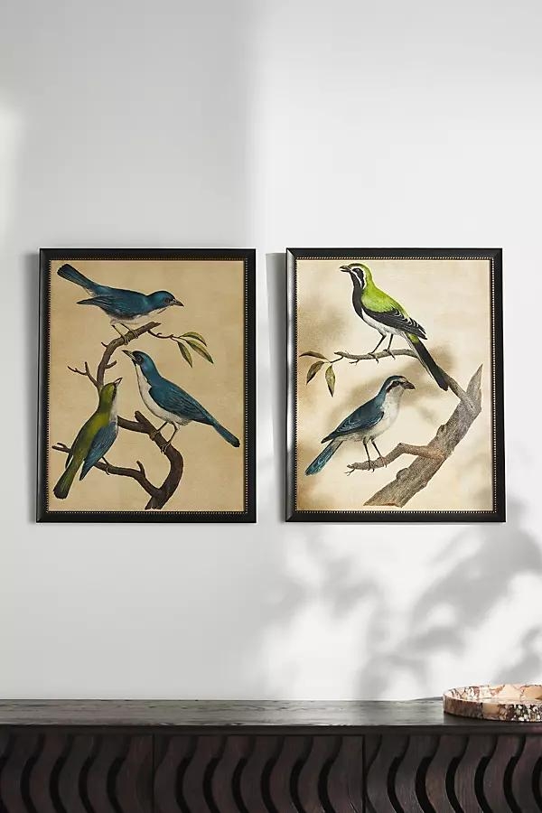 Blue Birds Wall Art - Image 0