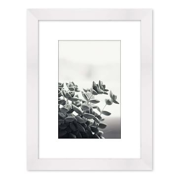 House Succulent 1, Extra Small - Image 1