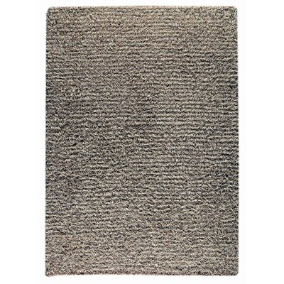 Striped Hand Knotted Gray/Beige Area Rug - Image 0