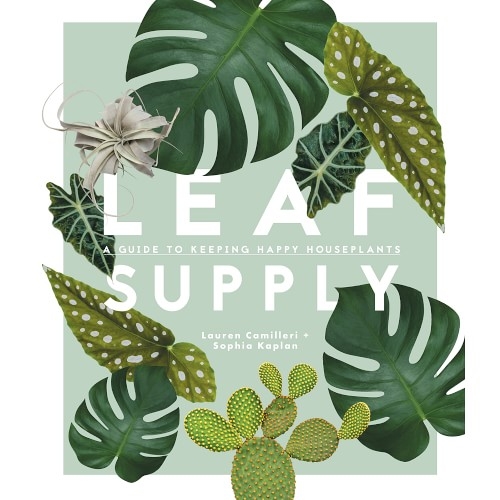 Leaf Supply: A Guide to Keeping Happy House Plants - Image 0