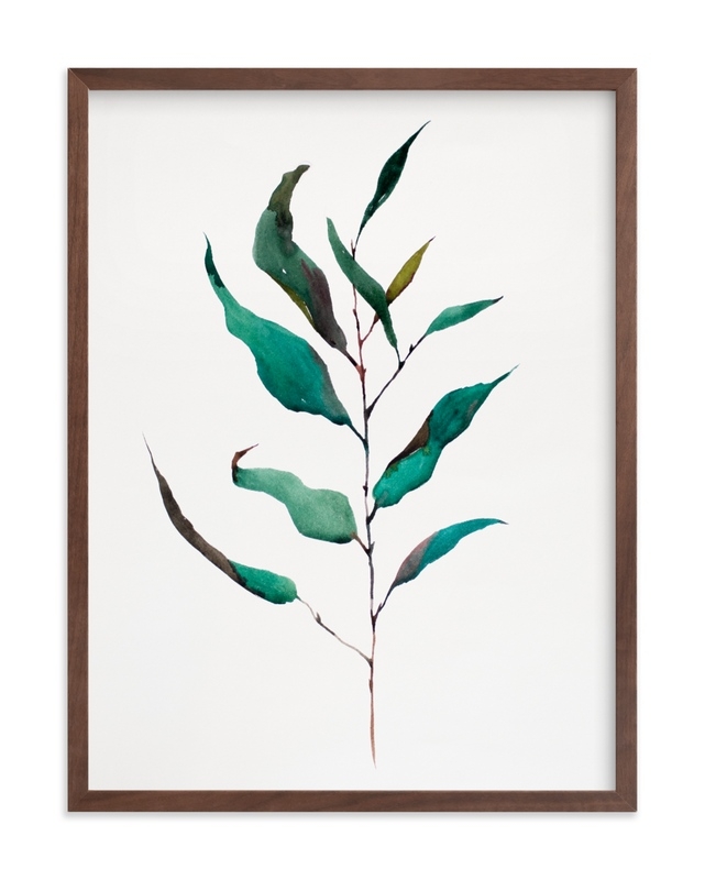 Eucalyptus Foliage Limited Edition Fine Art Print 1 - Image 0