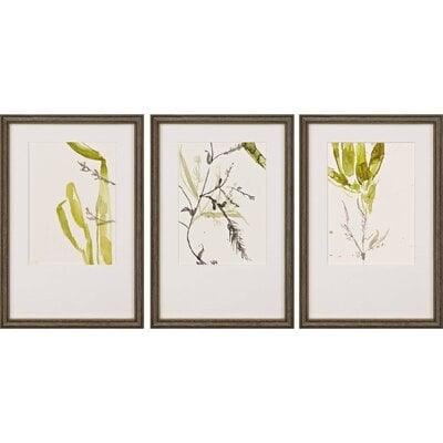 'Sea Forest II S/3' by Goldberger - 3 Piece Picture Frame Print Set on Paper - Image 0