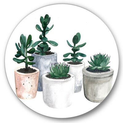 Cactus And Succulent House Plants VI - Farmhouse Metal Circle Wall Art - Image 0