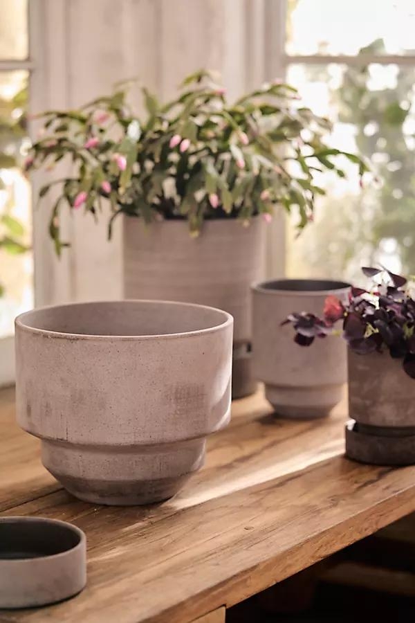 Hoff Terracotta Pot - Image 0