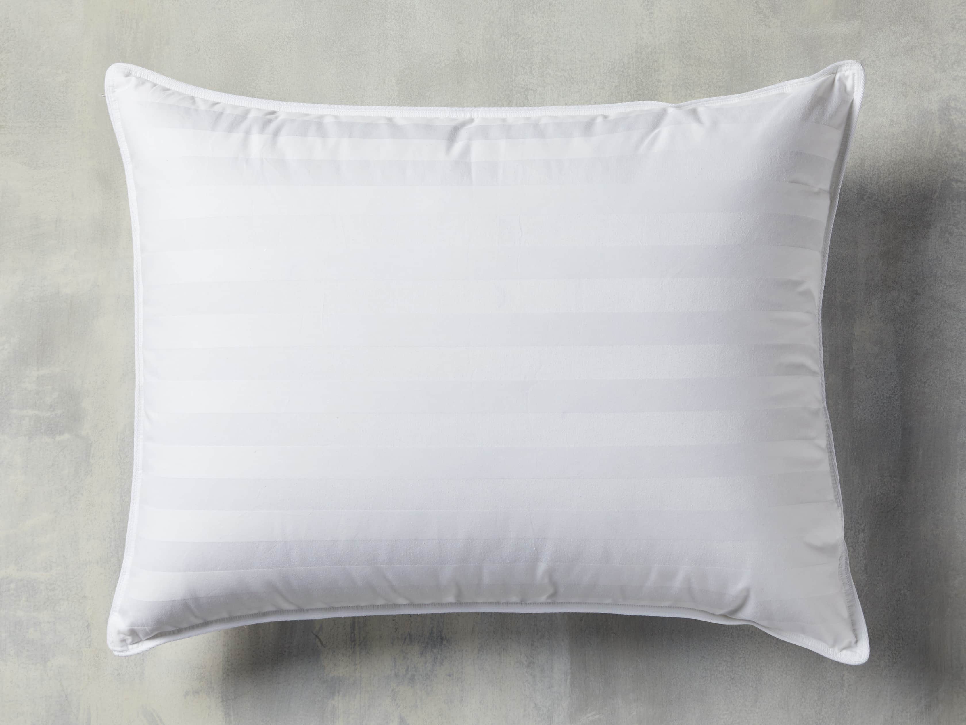 Down Fill Pillow Insert in Cotton Standard White /Soft - Image 0