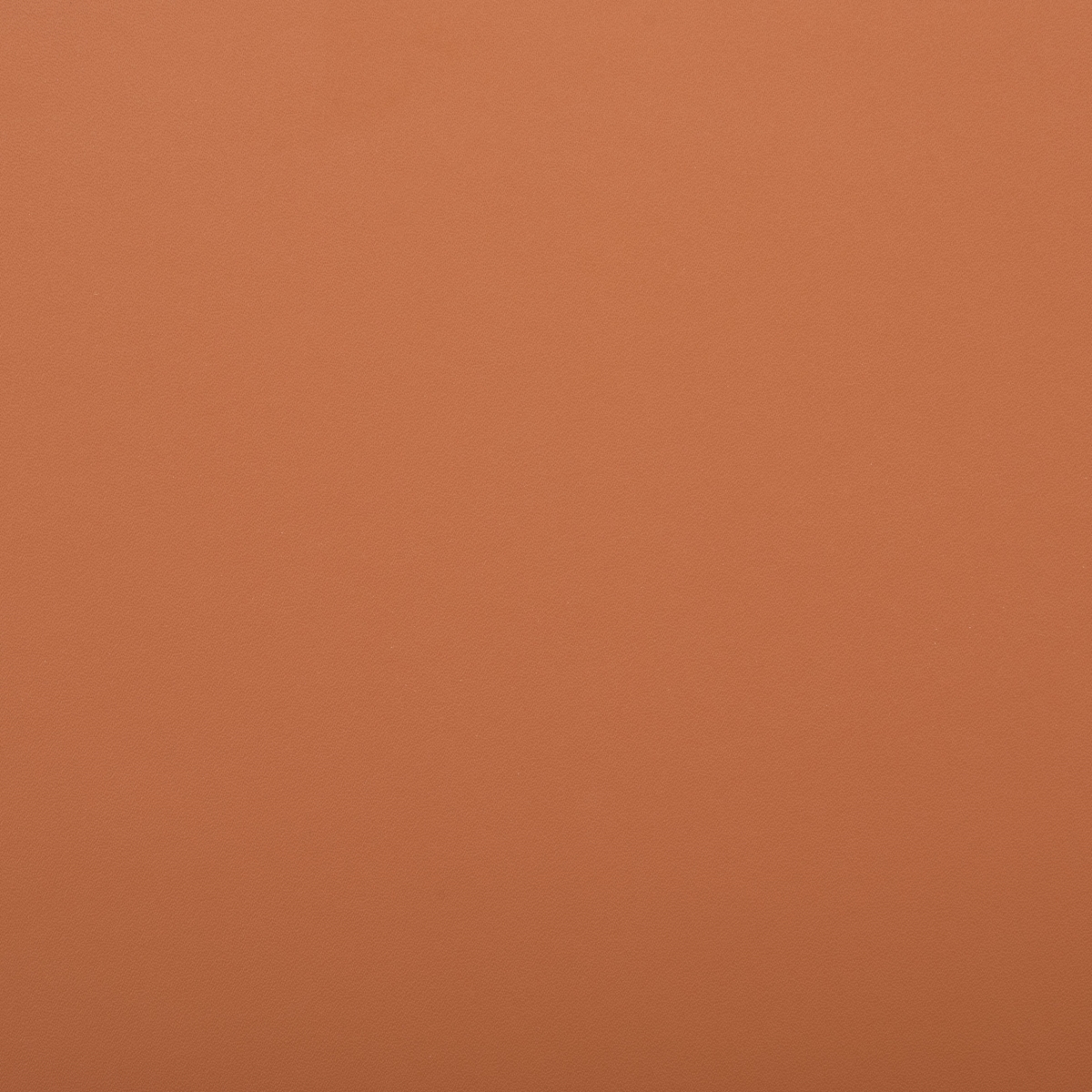 Layne Dining Chair - Cognac / Black - Safavieh - Image 4