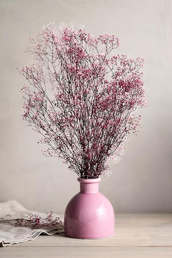 Preserved Gypsophila Bunch - Image 0