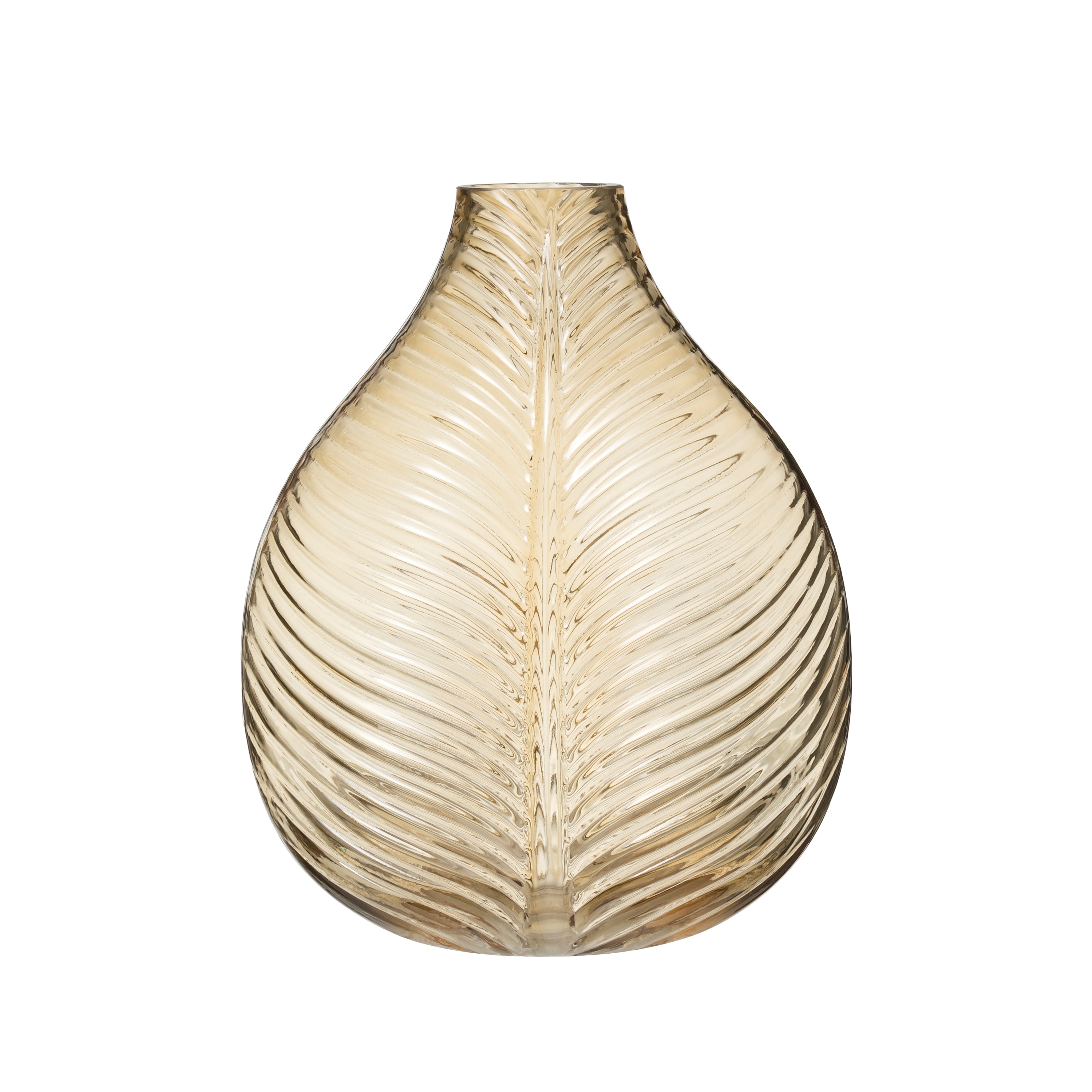 Glass Vase with Embossed Leaf Pattern - Image 0
