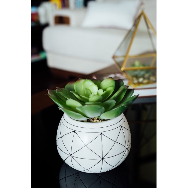 Geo Hand Painted Ceramic Agave Plant in Planter - Image 2