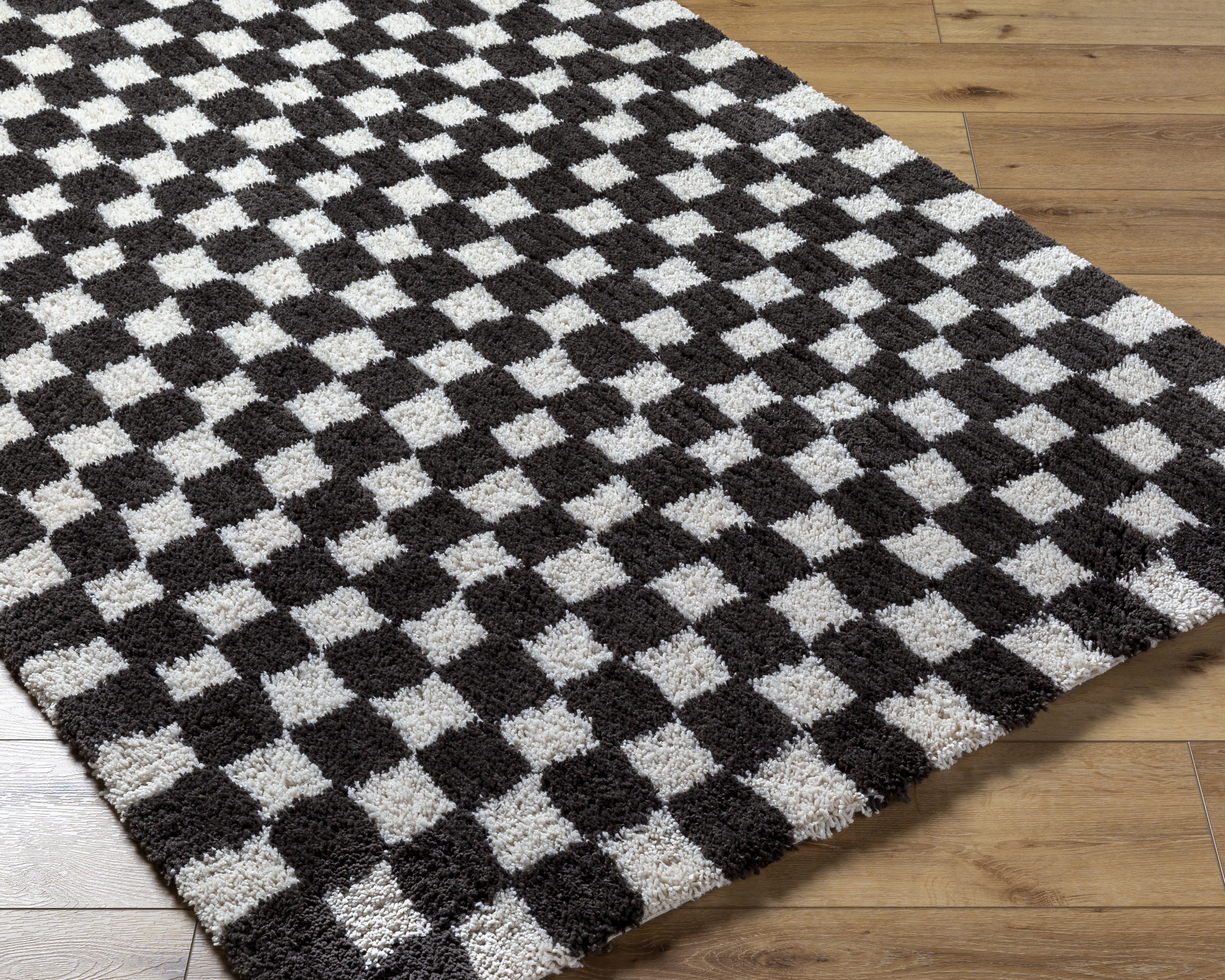 Nicole Black Indoor 2' x 3' Handmade Rug - Image 5
