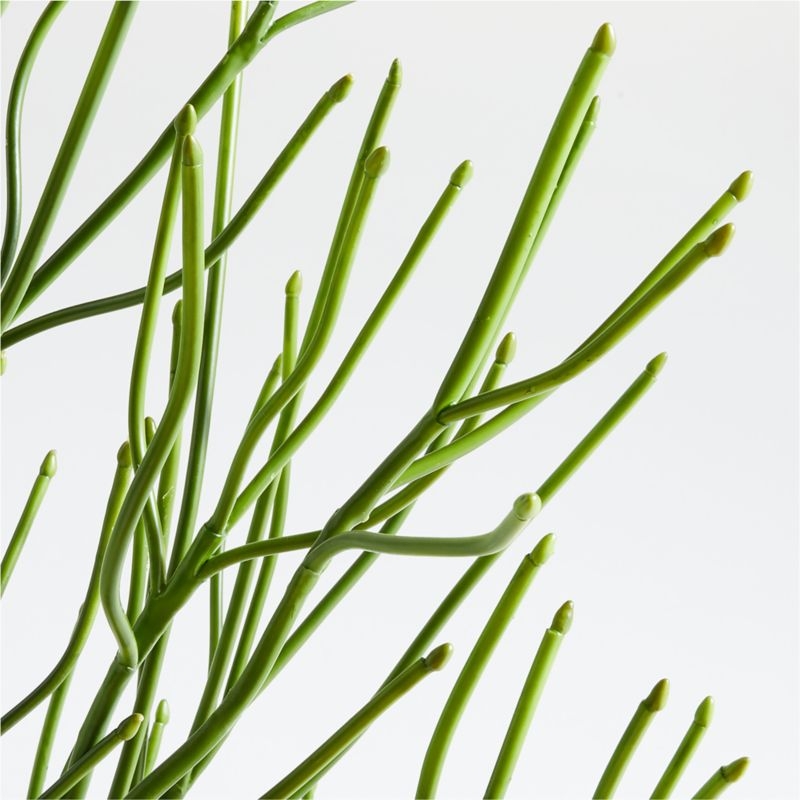 Potted Faux Pencil Cactus 5' - Image 1