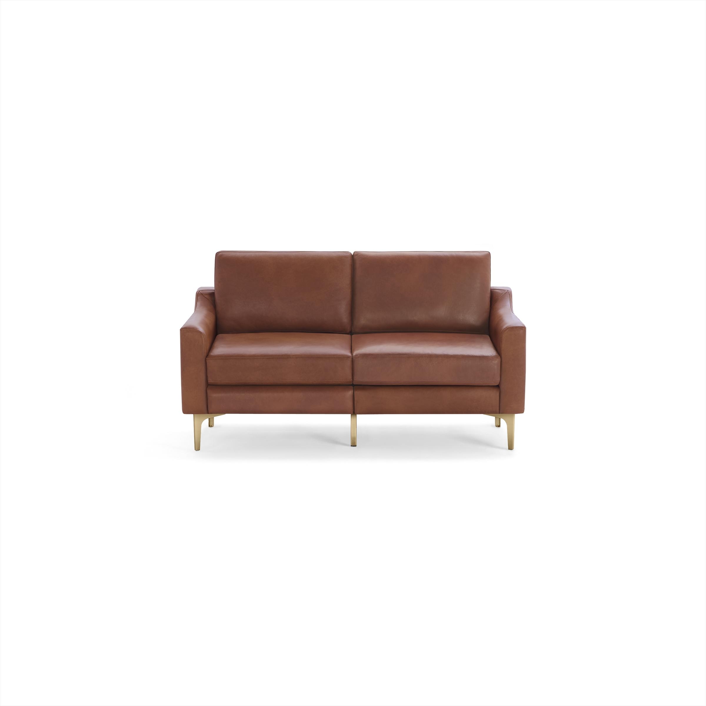 Nomad Leather Loveseat - Chestnut - Top Grain Leather / Brass - Metal / Slope - Image 0