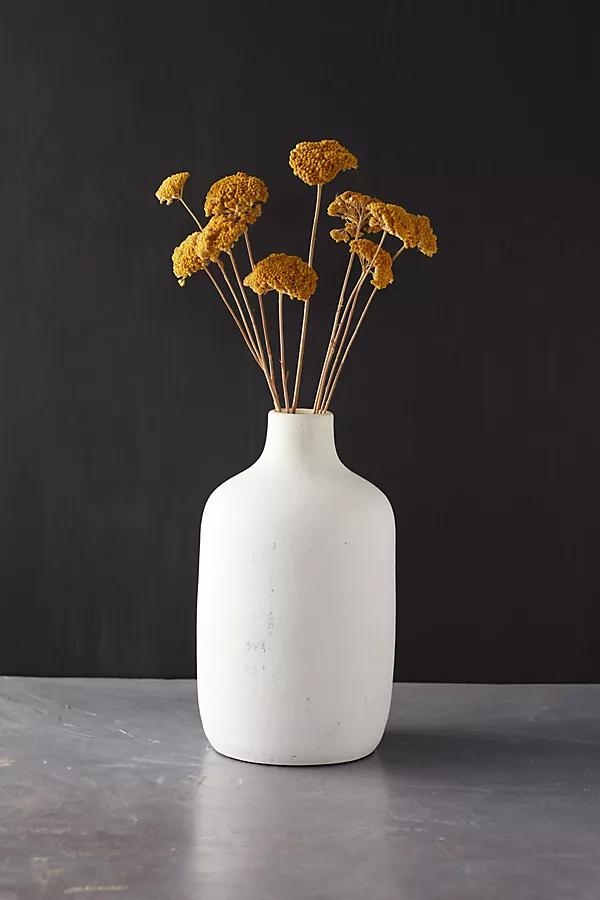 Dried Yarrow Bunch - Image 0