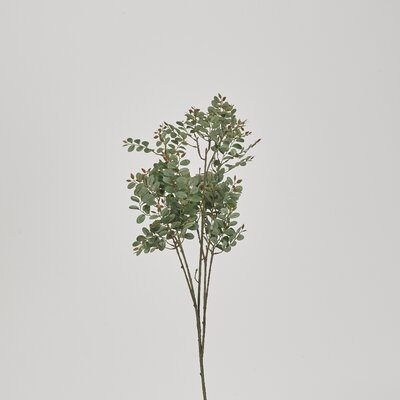 Pistachio Branch - Image 0