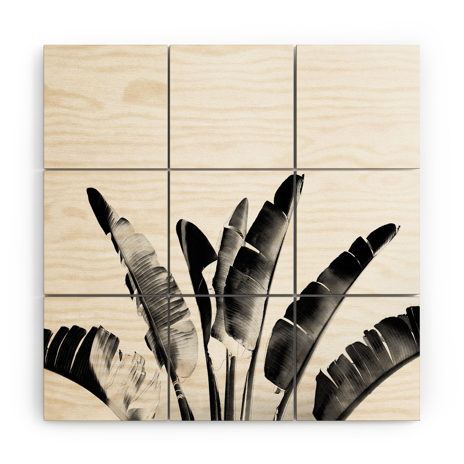 Traveler Palm Bw by Gale Switzer - Wood Wall Mural5' x 5' (Nine 20" wood Squares) - Image 0