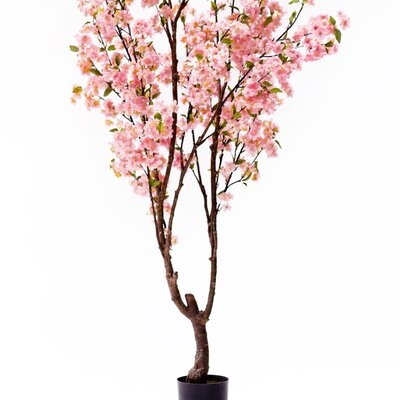 4.5Ft Cherry Blossom Flower Tree In Pot - Image 0