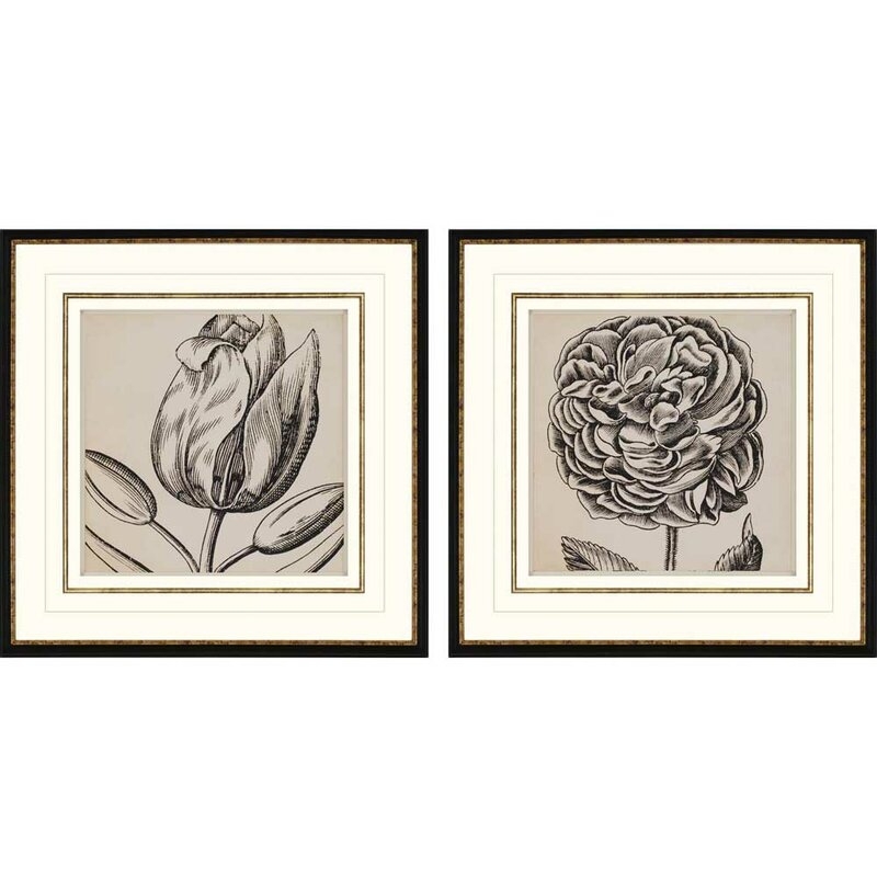 Paragon Graphic Floral II by Anonymous 2 Piece Framed Graphic Art Set - Image 0