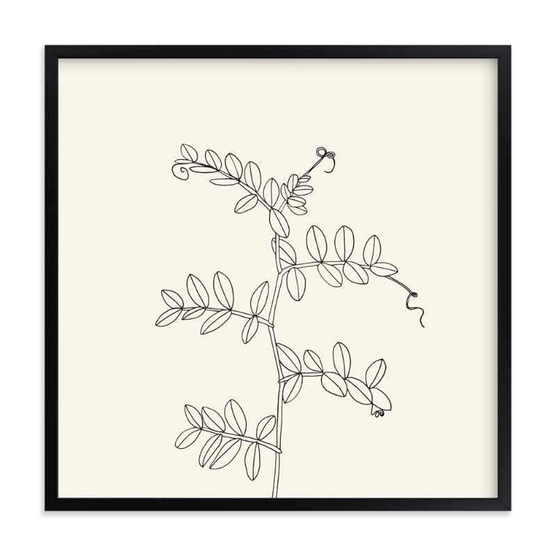 Wild Pea Limited Edition Fine Art Print 1 - Image 0