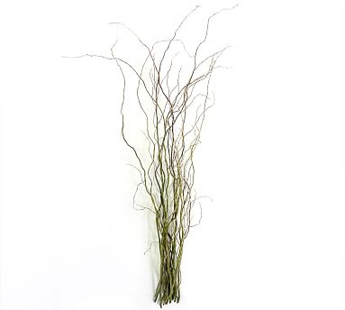 Live Curly Willow Branches, 3 Bunches - Image 1