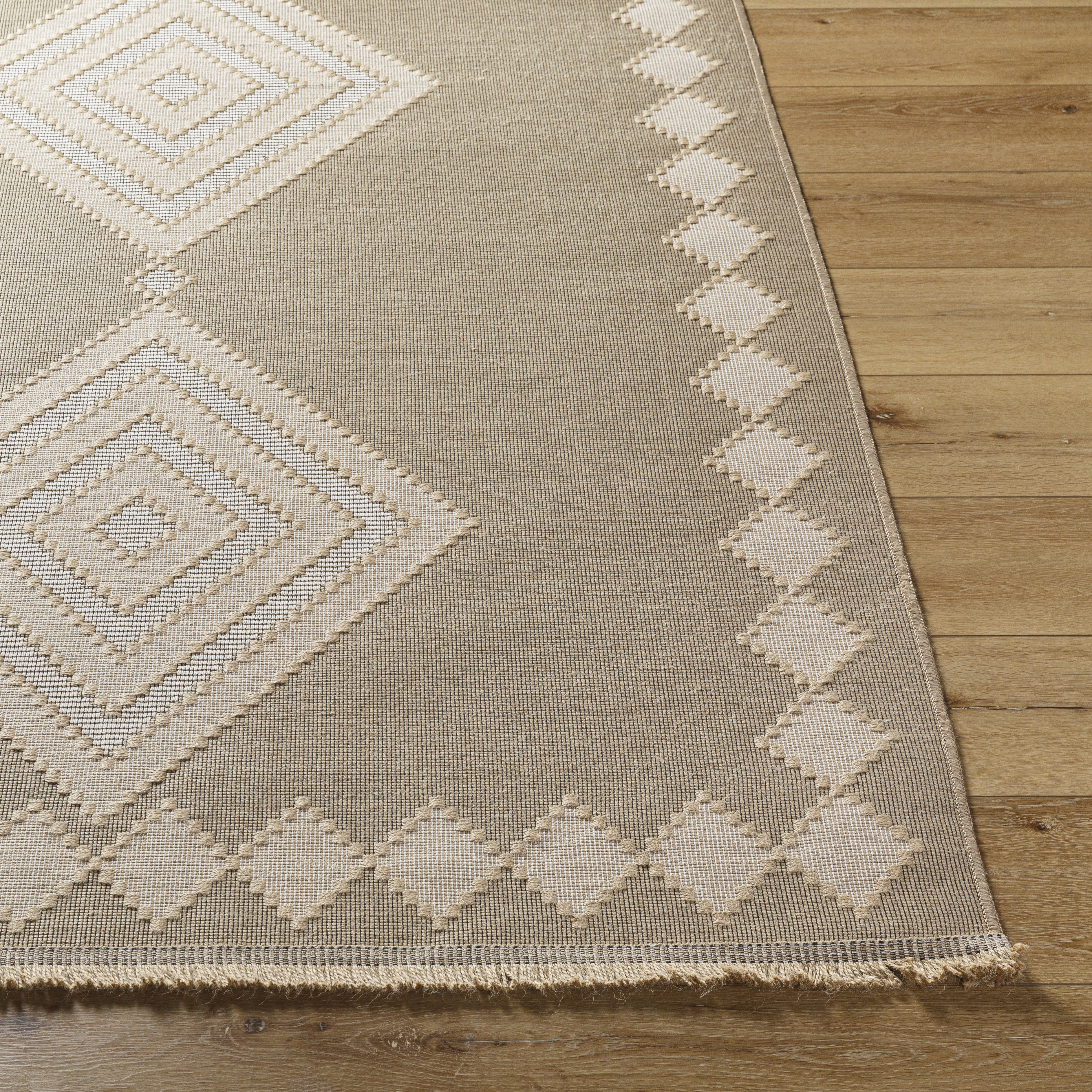Mystery Beige Indoor 27" x 45" Machine Woven Rug - Image 1