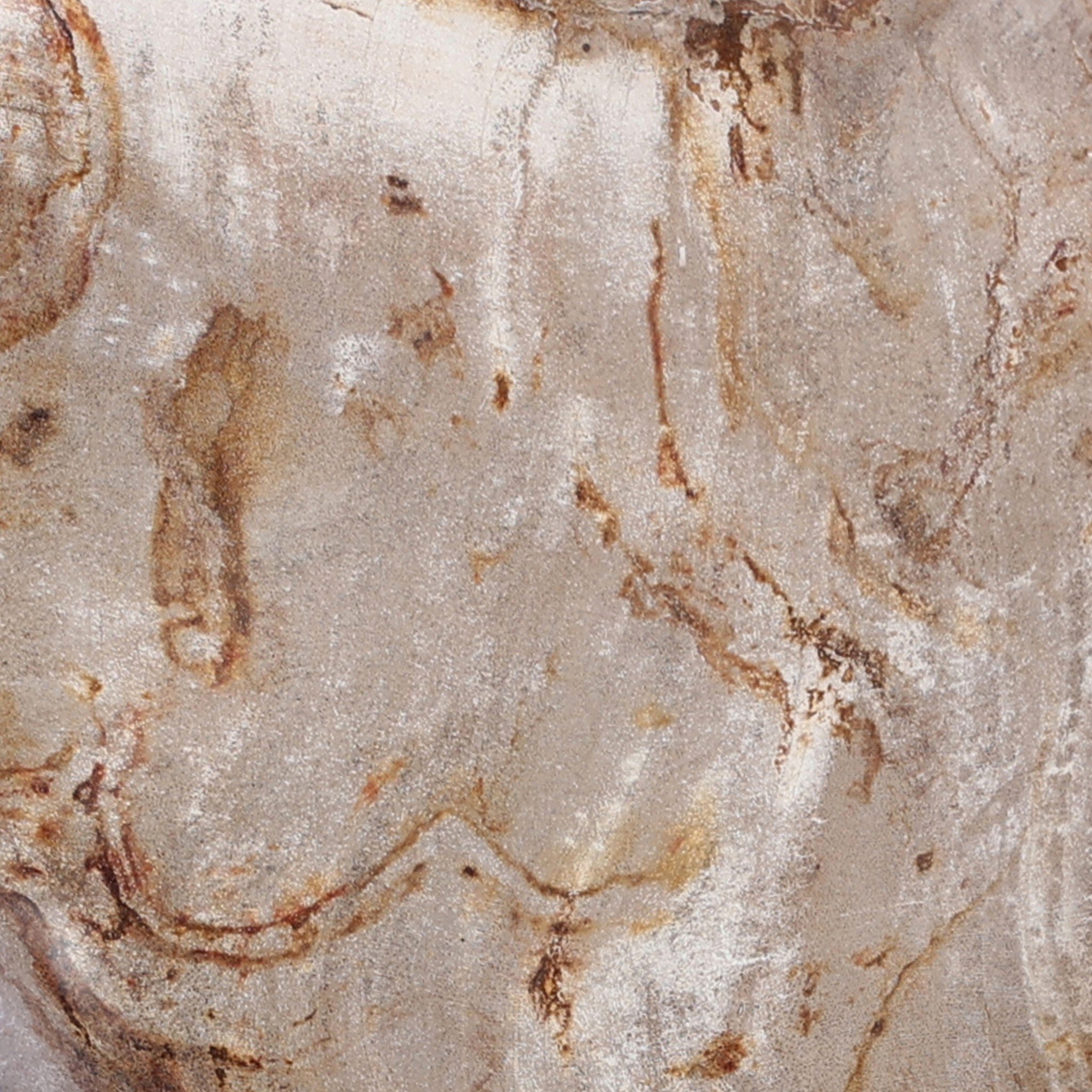 Petrified Wood Organic Sculpture, Set Of 3 - Light Petrified Wood - Image 4