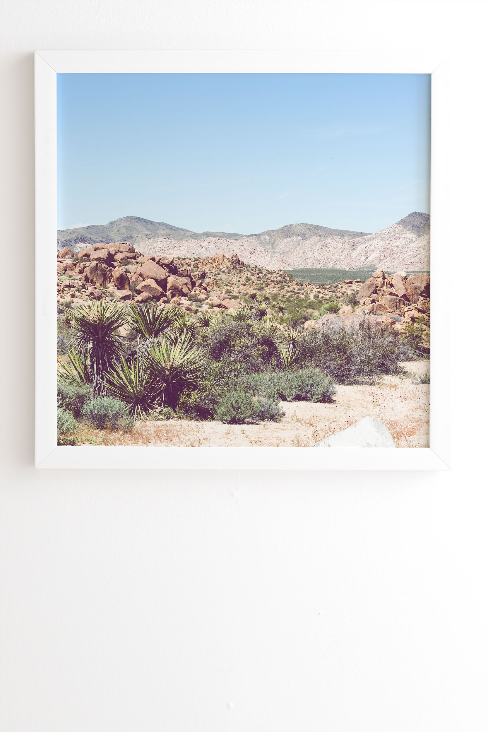 Joshua Tree Vista by Ann Hudec - Framed Wall Art Basic White 30" x 30" - Image 0