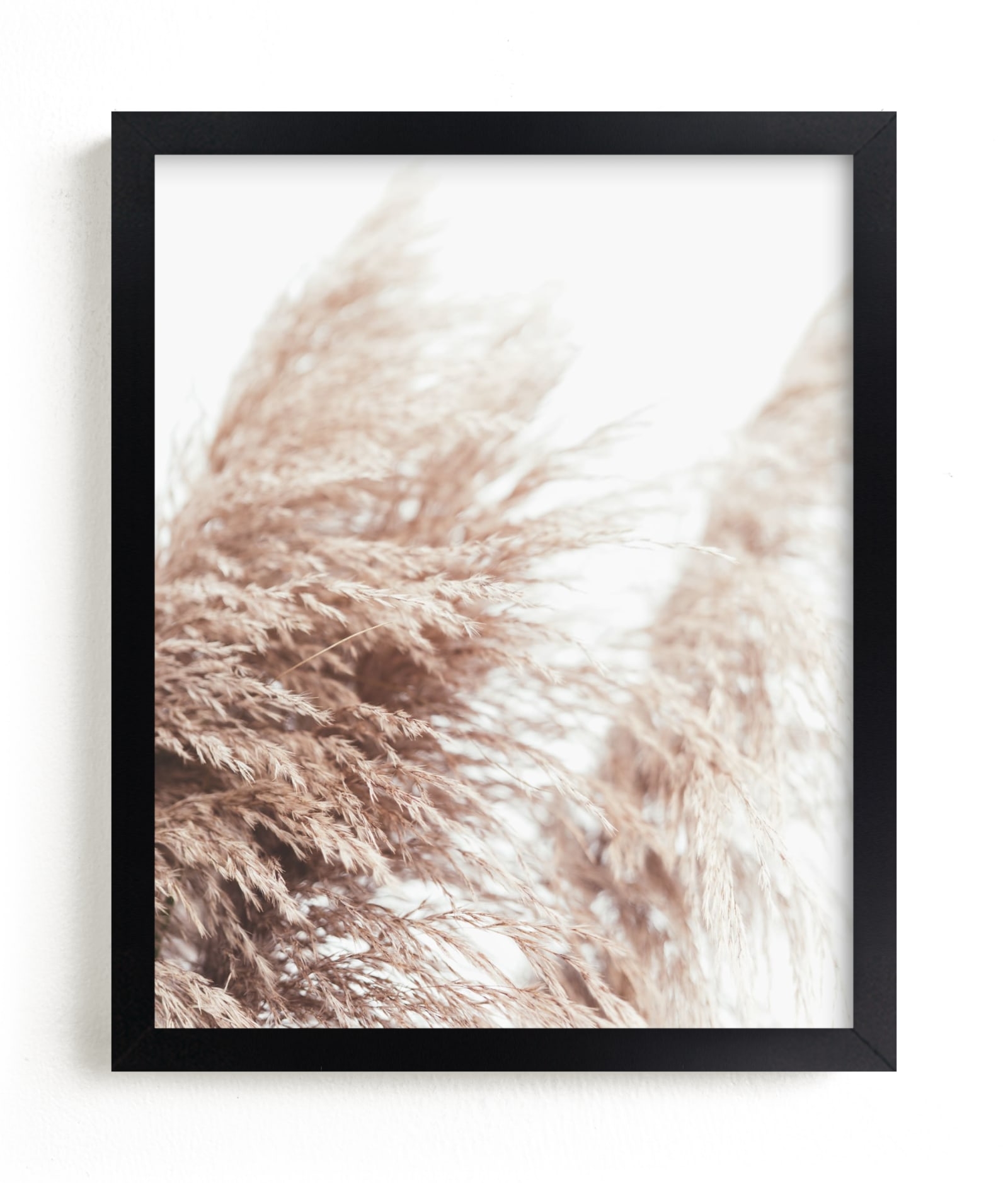 Samoa Field 1 Limited Edition Fine Art Print 2 - Image 0