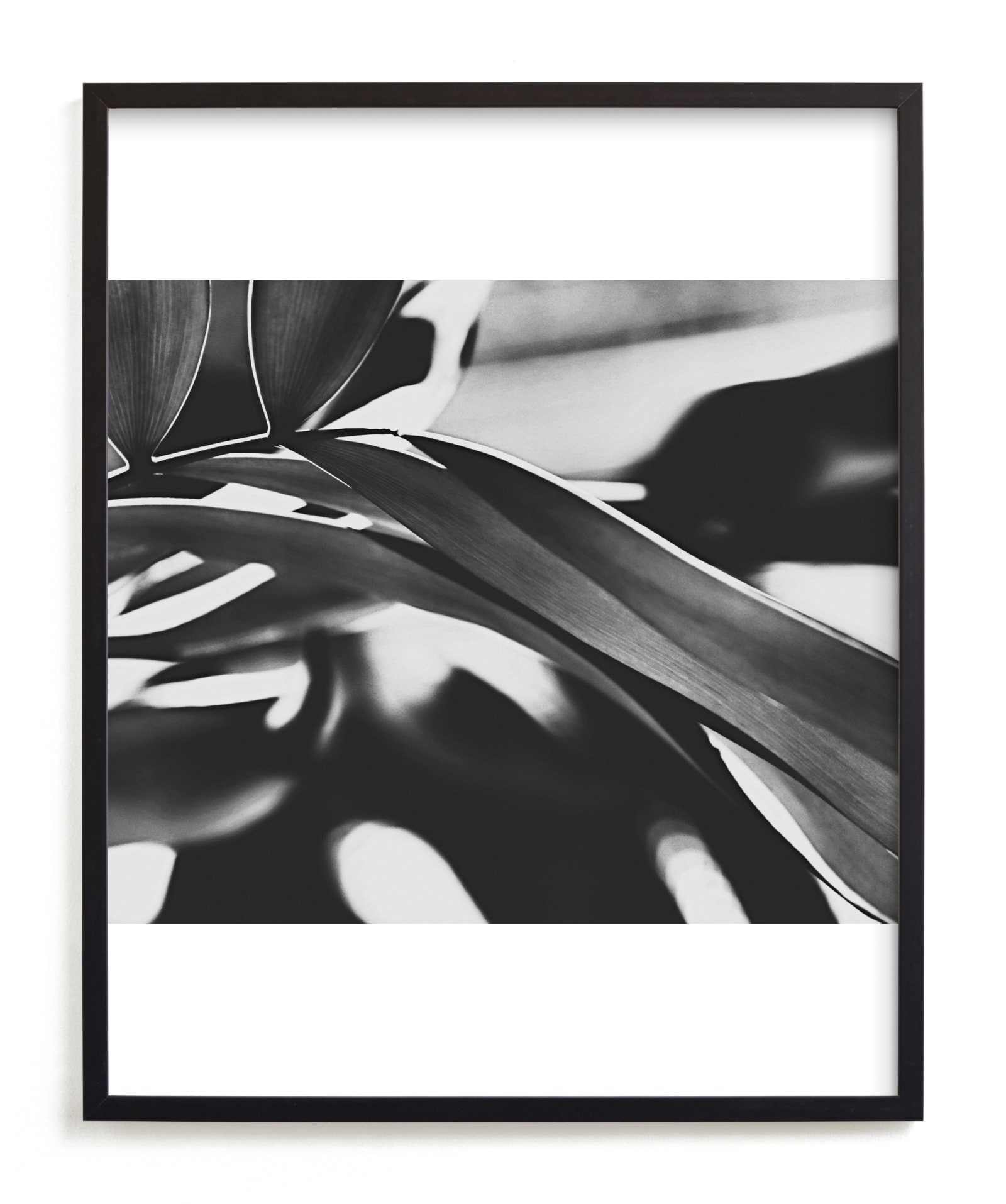 GLOWING BOTANICAL II Limited Edition Fine Art Print 2 - Image 0