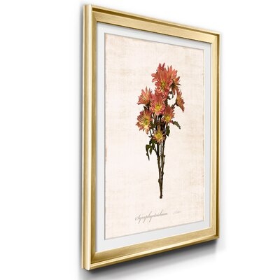 Sketchbook Aster - Picture Frame Graphic Art Print on Paper - Image 0