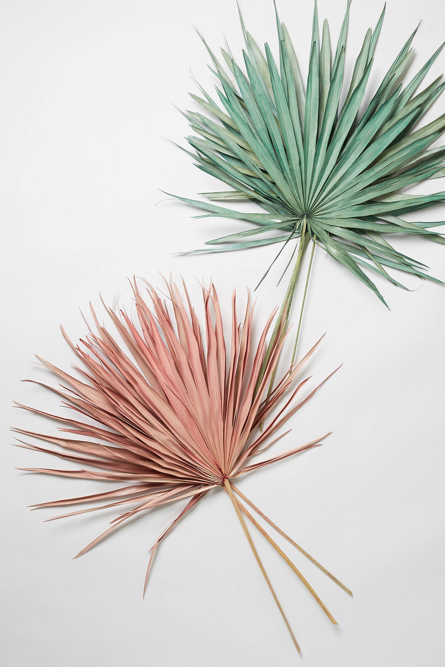 Colorful Dried Palm Bouquet - Image 0